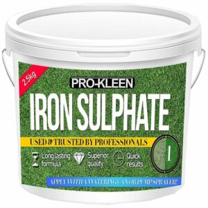 pro-kleen-iron-sulphate