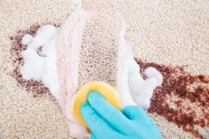 closeup of person removing fresh stains on rug