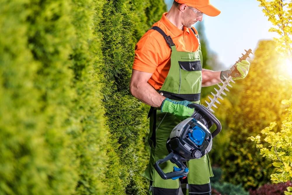 How to Sharpen a Hedge Trimmer