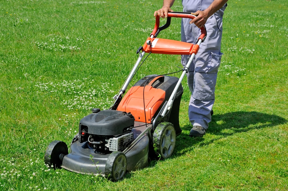 Which Is Better, Petrol or Electric Lawnmower