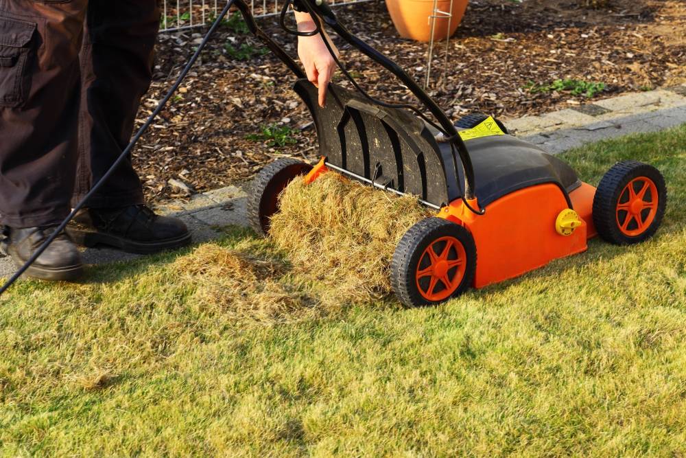best lawn scarifier