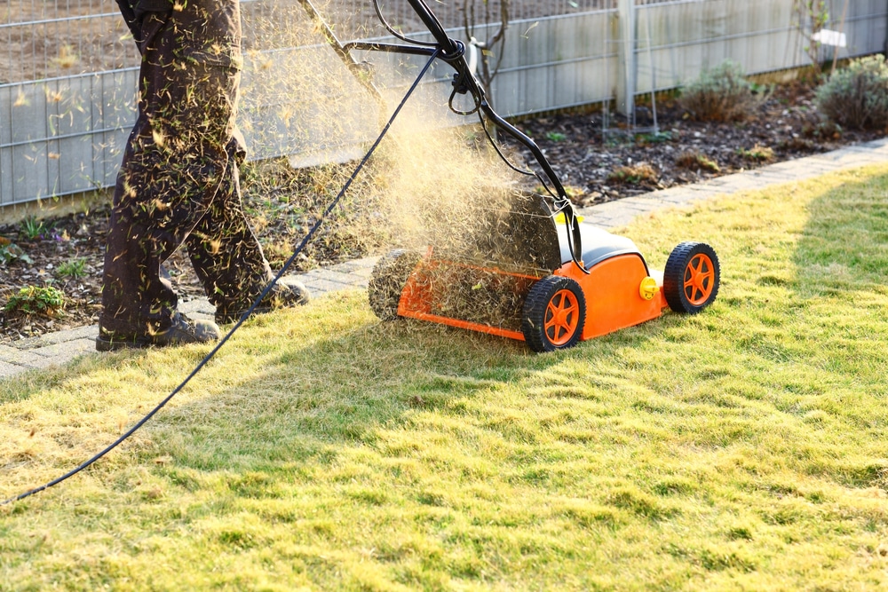 what is the difference between a lawn rake and scarifier
