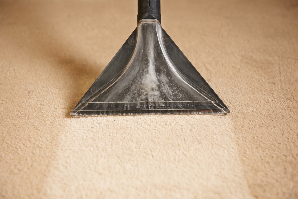 Best Carpet Cleaner featured