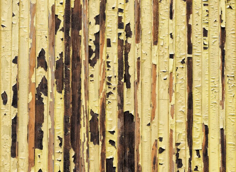 Why Does Paint Bubble on Exterior Wood? Learn How to Fix and Prevent It