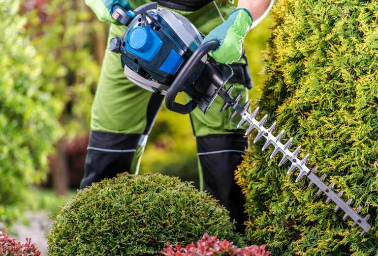 What Is the Difference Between a Hedge Trimmer and a Hedge Cutter
