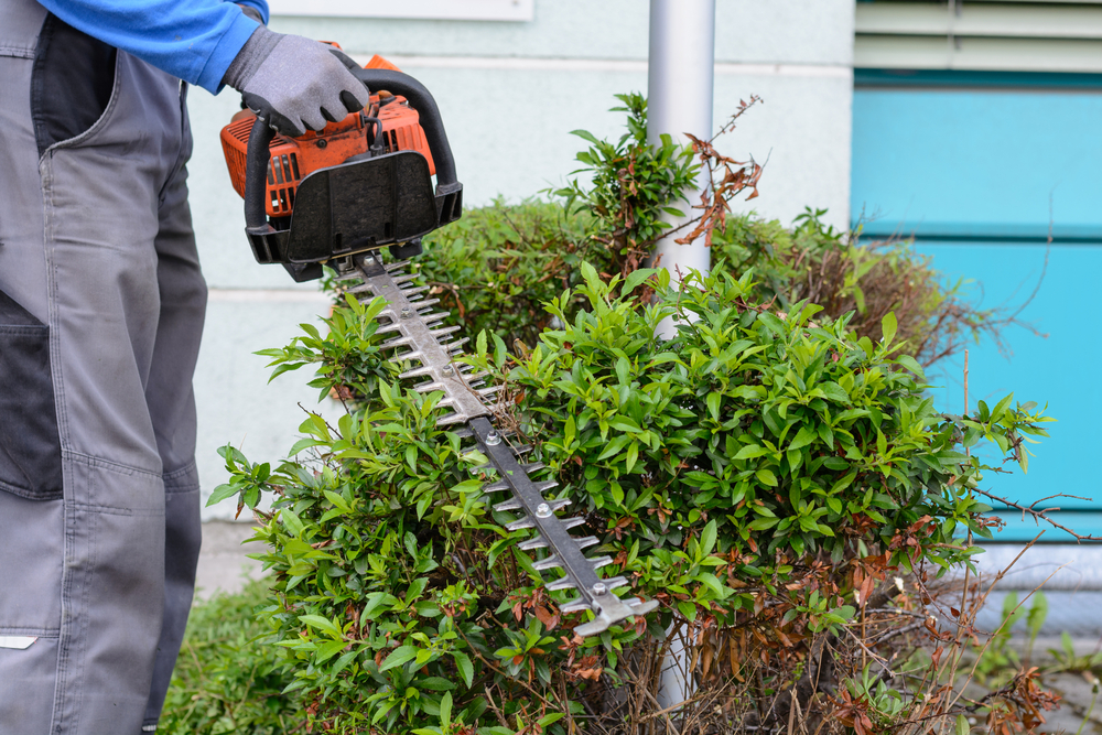 Which Type of Hedge Trimmer Do I Need