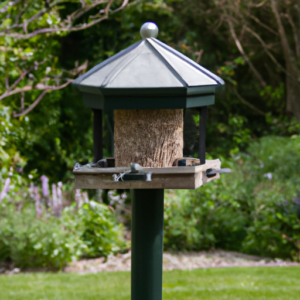 a bird table with a cat repellent
